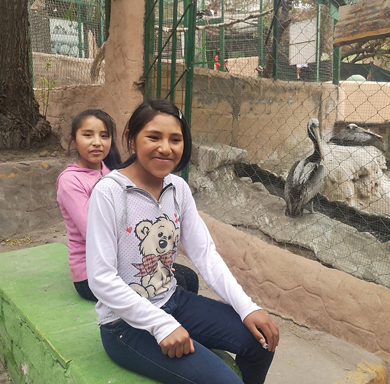 Default category image