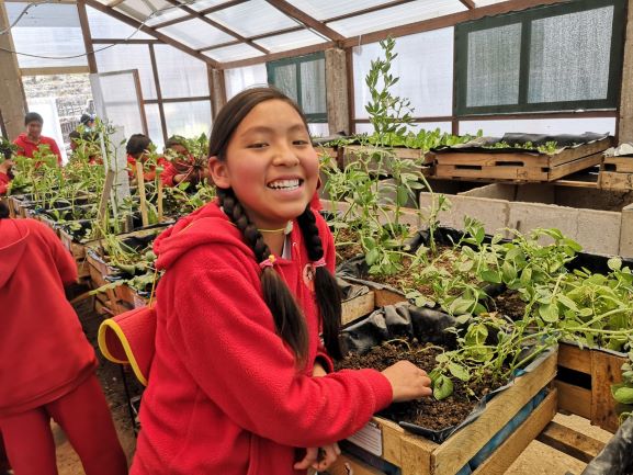 Default category image