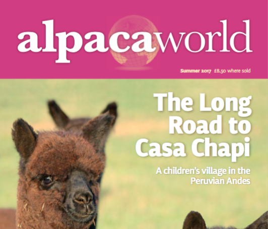 Default category image