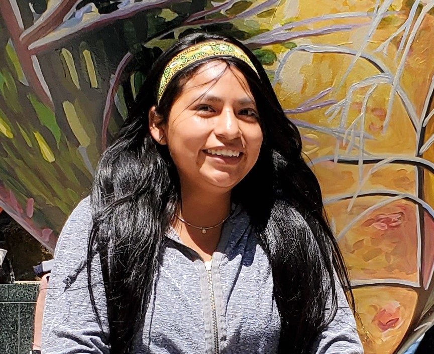 Default category image