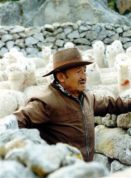 Default category image